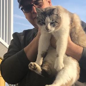 Meet your Posher, Brian